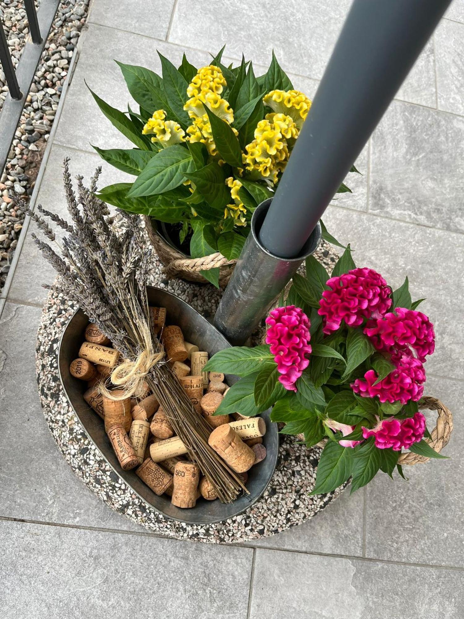 Bed and Breakfast Sveva Haven Malpensa Case Nuove  Exterior foto